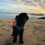 Gary Antonio - @garycosas - Instagram