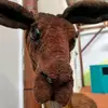 Gary - @gary_antonio - TikTok
