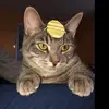 Garbonary - @garbonary - TikTok