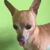 Garbonary - @lapoop190 - TikTok
