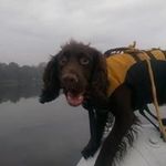 Gary Arbuthnot - @g.arbo1 - Instagram