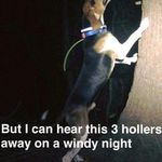 Gary Argenbright - @gary.argenbright.90 - Instagram
