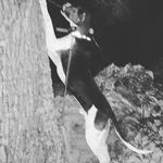Gary Argenbright - @gary.argenbright - Instagram
