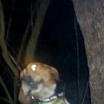 Gary Argenbright - @argenbrightgary - Instagram