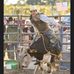 Gary Argenbright - Facebook