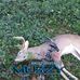 Gary Argenbright - Facebook