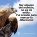 Gary Armas - Facebook