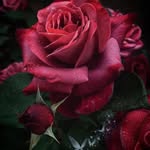 pragya garyar - @garyarpragya - Instagram