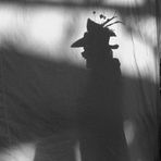 Gary Arrowsmith - Facebook
