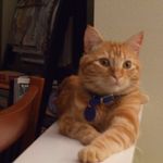 Gary Arthur - @garyarthur1633 - Instagram