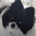 Gary Artz - Facebook