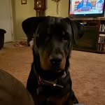 Gary Artz - @garyartz - Instagram