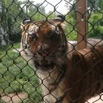 Gary Asher - @garybasher23 - Instagram