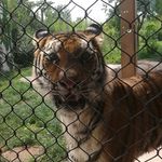 Gary Asher - @garybasher23 - Instagram