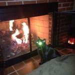 Gary Asher - @gary.asher - Instagram