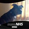 Gary Ashmore - @garyashmore1 - TikTok