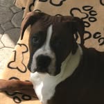 Gary Ashworth - @garyashworth40 - Instagram