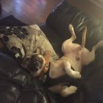 Gary Ashworth - @garyashw1 - Instagram