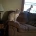 Gary A Asmus - Facebook