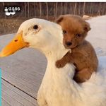 @gary_aston_ - Instagram
