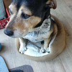 Gary Atherton - @atherton9533 - Instagram