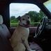 Gary Atwell - Facebook