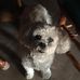 Gary Auger - Facebook