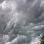 Gary Backhaus - @backhausgary - Instagram