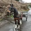 garybagshaw3 - @garybagshaw3 - TikTok