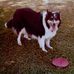 Gary Bakken - Facebook