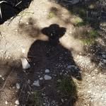 Gary Bear Bankhead - @gbankhead2012 - Instagram