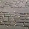 gary bannister - @gary.bannister8 - TikTok