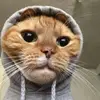 Gary Barboza - @gary.barboza8 - TikTok