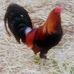 Gary Barkley - Facebook
