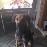Gary Barrow - @gary.barrow.73 - Instagram