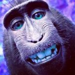 Gary Barry - @gary.barry.503092 - Instagram
