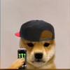 gary barry - @gary.barry1 - TikTok