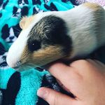 Gary Barry Love - @garybarrylove - Instagram