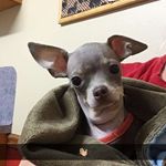 Gary Linda Barta - @gary.l.barta - Instagram