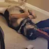 Gary Basham947 - @garybasham - TikTok