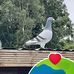 Gary Bath - Facebook