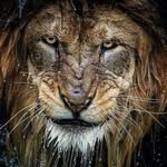 Gary Baumann - @gary.baumann - Instagram