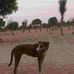 A Baban Kwari - Facebook