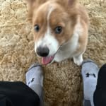 Gary Bauman - @bluedevil1357_b - Instagram