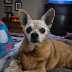 Gary Beal - @garybeal2 - Instagram