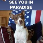 Gary Beaman - @gary.beaman.33 - Instagram