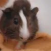 Bean and Gary are hot - @gary.bean - TikTok