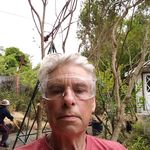 Gary Beard - @gary.beard.184007 - Instagram