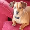 garybeard576 - @garybeard576 - TikTok