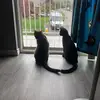 garybeckley736 - @garybeckley736 - TikTok